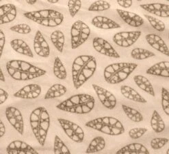 Robens Wolf Moon 5XP Tent Package -Wild Trek Gear robens carpet 1